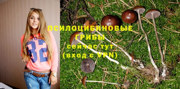 ALPHA-PVP Арсеньев